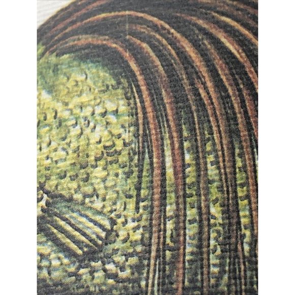 Luigi Serafini Codex Seraphinianus Print 83B - Picture 15 of 16